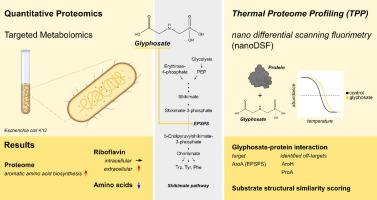 Revealing novel protein interaction partners of glyphosate in Escherichia coli