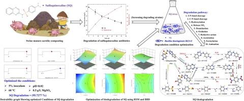 Response surface methodology and Box-Behnken design optimization of Sulfaquinoxaline removal efficiency and degradation mechanisms by Bacillus sp. strain DLY-11