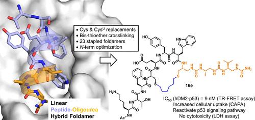 Cell-Permeable Peptide Inhibitors of the p53-hDM2 Interaction via Foldamer Helix Mimicry and Bis-Thioether Stapling