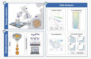 Characterization of the core microbial community across different aggregate sizes in full-scale aerobic granular sludge plants and their relevance to wastewater treatment performance