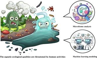 Identifying human activities causing water pollution based on microbial community sequencing and source classifier machine learning