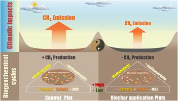 Use of biochar derived from Spartina alterniflora to reduce sediment methane (CH4) production potential during non-farming period in earthen aquaculture ponds