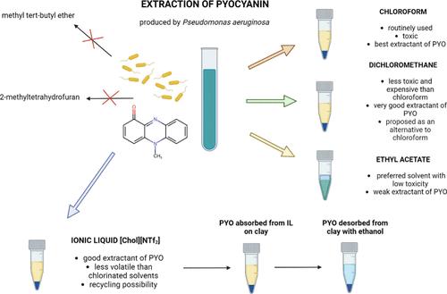 The Comparison of Typical Organic Solvents and Ionic Liquid for More Environmentally and User-Friendly Pyocyanin Extraction