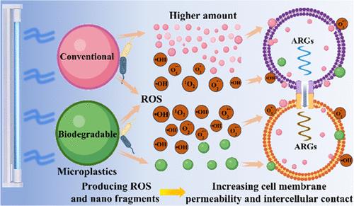 Microplastics Exacerbated Conjugative Transfer of Antibiotic Resistance Genes during Ultraviolet Disinfection: Highlighting Difference between Conventional and Biodegradable Ones