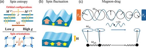 Unlocking Spin to Boost Thermopower