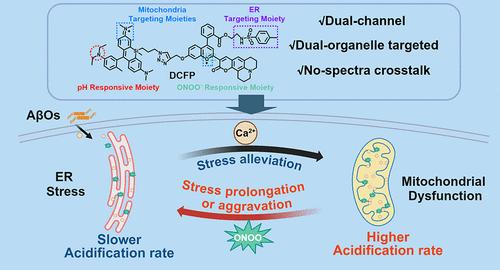 Simultaneous Imaging of pH and Peroxynitrite in the Endoplasmic Reticulum and Mitochondria: Revealing Organelle Interactions in Alzheimer’s Disease Pathogenesis