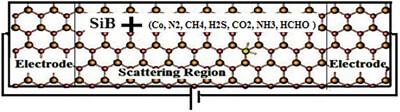 SiB Monolayers-Based Gas Sensor: Work Function and Conductometric Type Gas Sensors