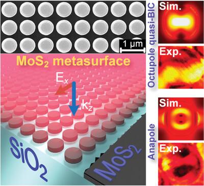 Far-Field and Near-Field Manipulation via Multipole Coupling Phenomenon in Van der Waals Metasurfaces