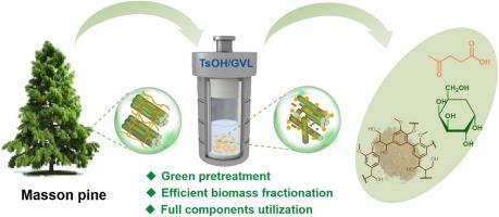 Facilitated biomass fractionation by a p-toluenesulfonic acid-catalyzed γ-valerolactone pretreatment for co-production of glucose and levulinic acid from masson pine