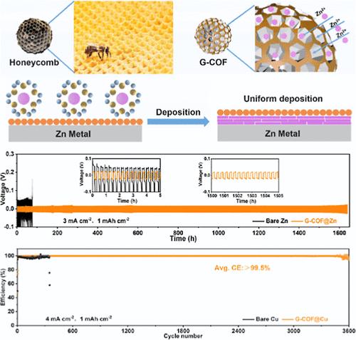 Regulating Zn Deposition via Honeycomb-like Covalent Organic Frameworks for Stable Zn Metal Anodes