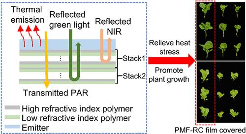 A Low-Cost and Large-Scale Producible Polymer Multilayer Radiative Cooling Film for Reducing Plant Heat Stress