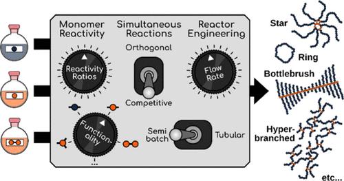 Engineering Polymer Architecture Through Reaction Rates