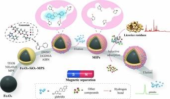 The specific extraction of glabridin from licorice residues using molecular imprinting technique
