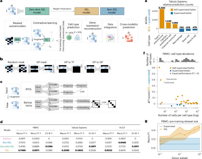 Delineating the effective use of self-supervised learning in single-cell genomics