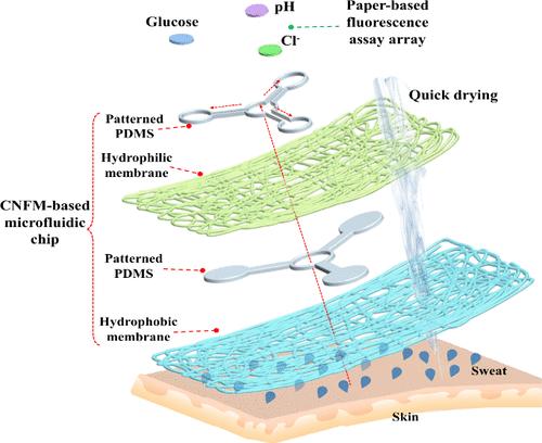 Composite Nanofiber Membrane-Based Microfluidic Fluorescence Sensors for Sweat Analysis