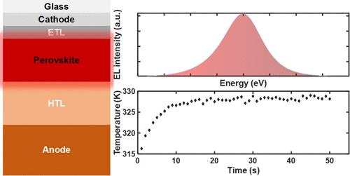 Temperature Characterization of Perovskite LEDs by Electroluminescence