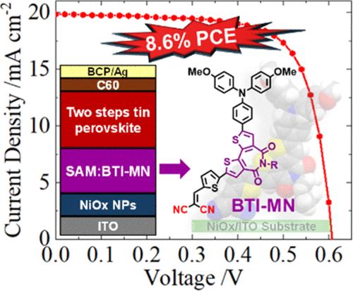Bithiophene Imide-Based Self-Assembled Monolayers (SAMs) on NiOx for High-Performance Tin Perovskite Solar Cells Fabricated Using a Two-Step Approach