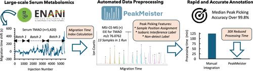 A Software Tool for Rapid and Automated Preprocessing of Large-Scale Serum Metabolomic Data by Multisegment Injection-Capillary Electrophoresis-Mass Spectrometry