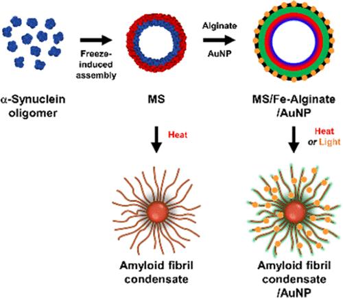 Freeze-Induced Protein Assembly of α-Synuclein into Stable Microspheres to Fabricate Light-Induced Cargo Release Systems