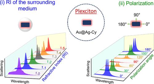 Polarization-Resolved Spectral Features and Dielectric Medium Effects in Plexcitonic Systems: Findings from Single-Particle Spectroscopy