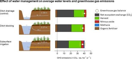 Wetter, but not wet enough—Limited greenhouse gas mitigation effects of subsurface irrigation and blocked ditches in an intensively cultivated grassland on fen peat