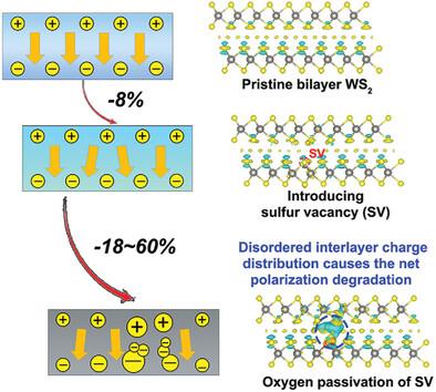 Degradation of Sliding Ferroelectricity Induced by Environmental Gas Molecules: Case of Bilayer WS2