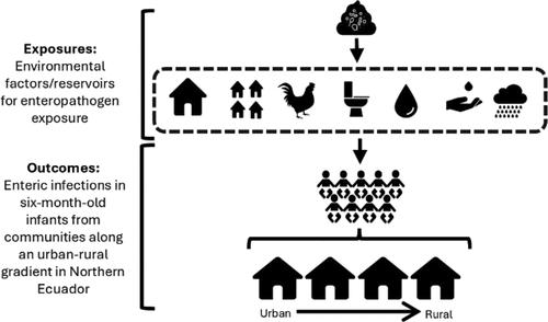 Environmental Exposures Associated with Enteropathogen Infection in Six-Month-Old Children Enrolled in the ECoMiD Cohort along a Rural–Urban Gradient in Northern Ecuador†