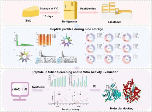 Peptide Profile Changes in Buffalo Milk Cheese during Different Storage Periods and Characterization of Novel Bioactive Peptides through Peptidomics