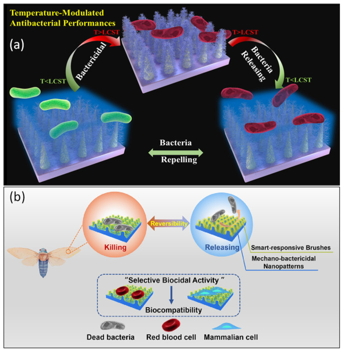Mechanobactericidal nanotopographies for food industry: A promising strategy for eradicating foodborne pathogens - progress and challenges.