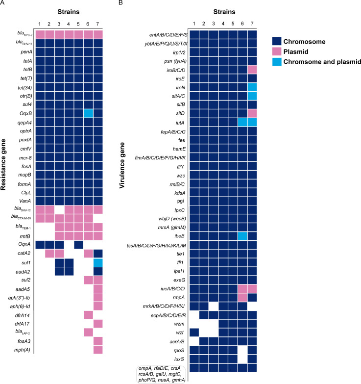 摘要图片