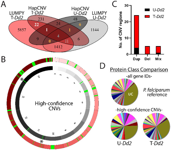 Replication stress increases de novo CNVs across the malaria parasite genome.