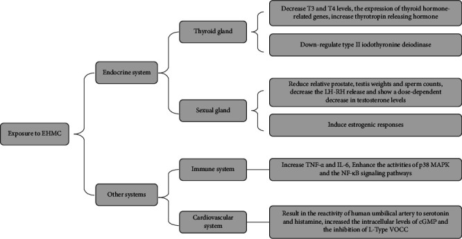 Interference Mechanisms of Endocrine System and Other Systems of Endocrine-Disrupting Chemicals in Cosmetics-In Vitro Studies.