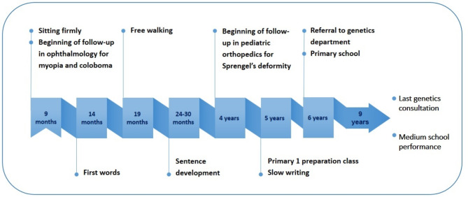 Interstitial 11q deletion in a patient with Sprengel's deformity: a case report and review of the literature.