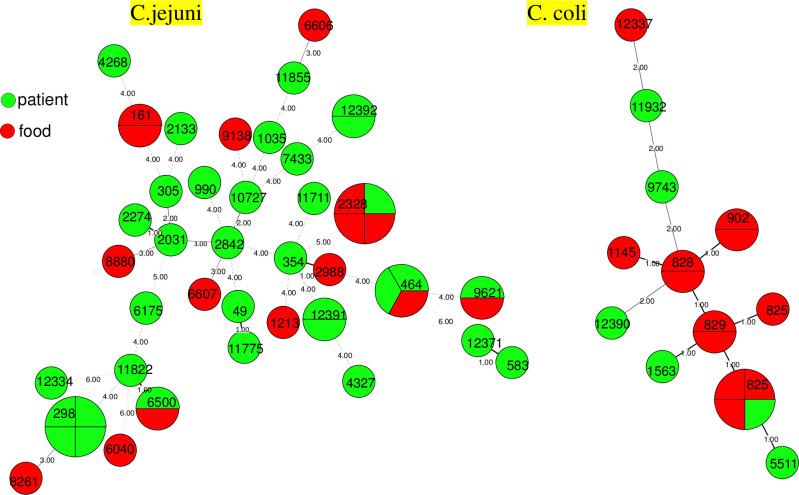 Molecular typing and antimicrobial susceptibility profiles of Campylobacter jejuni and Campylobacter coli Isolates from Patients and raw meat in Huzhou, China, 2021-2022.