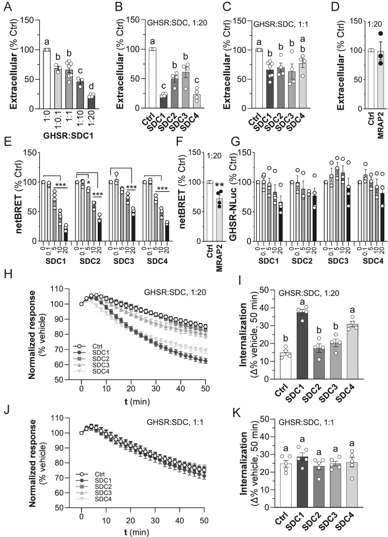 Syndecans modulate ghrelin receptor signaling.