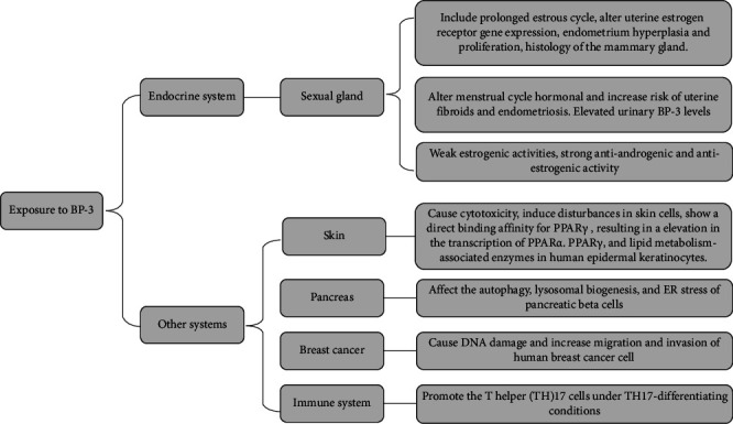 Interference Mechanisms of Endocrine System and Other Systems of Endocrine-Disrupting Chemicals in Cosmetics-In Vitro Studies.
