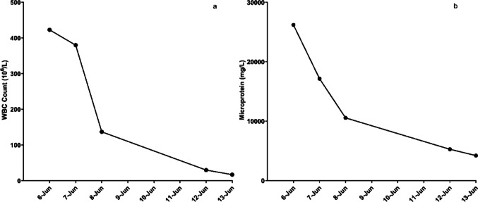 Subarachnoid puncture via the anterior fontanelle with intrathecal vancomycin for refractory purulent meningitis: a pediatric case report.
