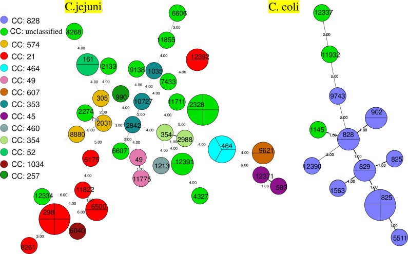 Molecular typing and antimicrobial susceptibility profiles of Campylobacter jejuni and Campylobacter coli Isolates from Patients and raw meat in Huzhou, China, 2021-2022.