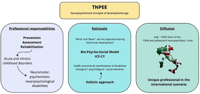 Neuro and Psychomotor Therapist of Developmental Age Professional in Italy: An Anomaly or an Opportunity?