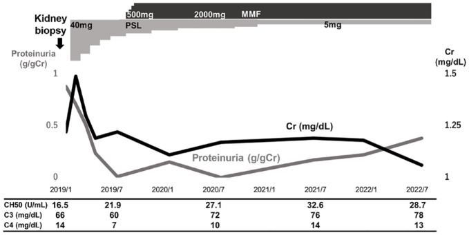 Immune-Complex Mediated Mesangial Proliferative Glomerulonephritis with Full-House Pattern Observed During Treatment of Immune Thrombocytopenic Purpura.
