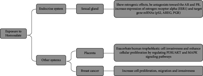 Interference Mechanisms of Endocrine System and Other Systems of Endocrine-Disrupting Chemicals in Cosmetics-In Vitro Studies.