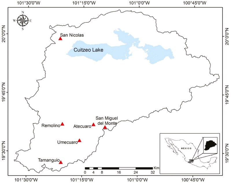 Landscape-level variation in spring leaf phenology is driven by precipitation seasonality in the Mexican red oak <i>Quercus castanea</i>.