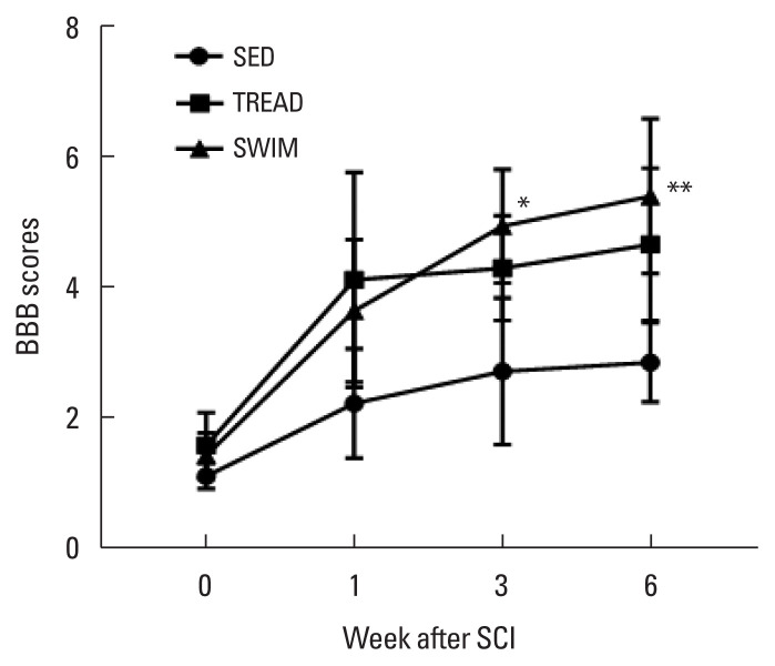 The effects of weight- and non-weight-bearing exercise on corticospinal axon sprouting, regeneration-related proteins and functional recovery after spinal cord contusion.