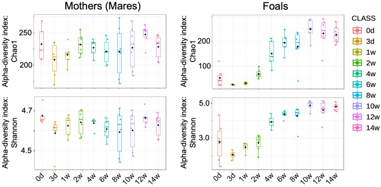 Relationship between the components of mare breast milk and foal gut microbiome: shaping gut microbiome development after birth.