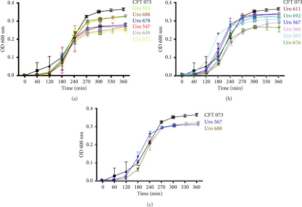 Differential Expression of <i>fimH</i>, <i>ihf</i>, <i>upaB</i>, and <i>upaH</i> Genes in Biofilms- and Suspension-Grown Bacteria From Samples of Different Uropathogenic Strains of <i>Escherichia coli</i>.