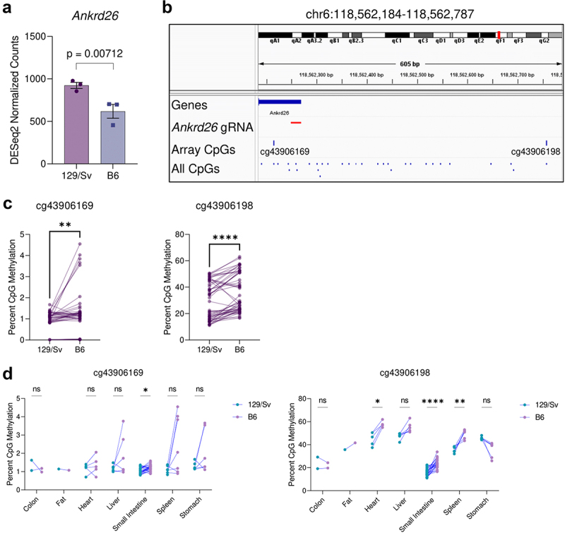 Genetic confounds of transgenerational epigenetic inheritance in mice.