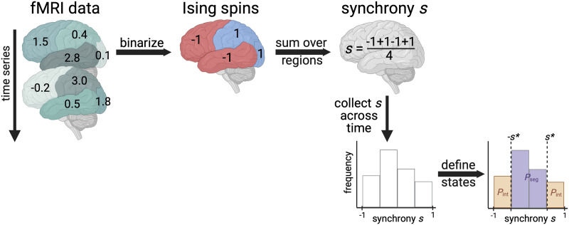 Brain signaling becomes less integrated and more segregated with age.