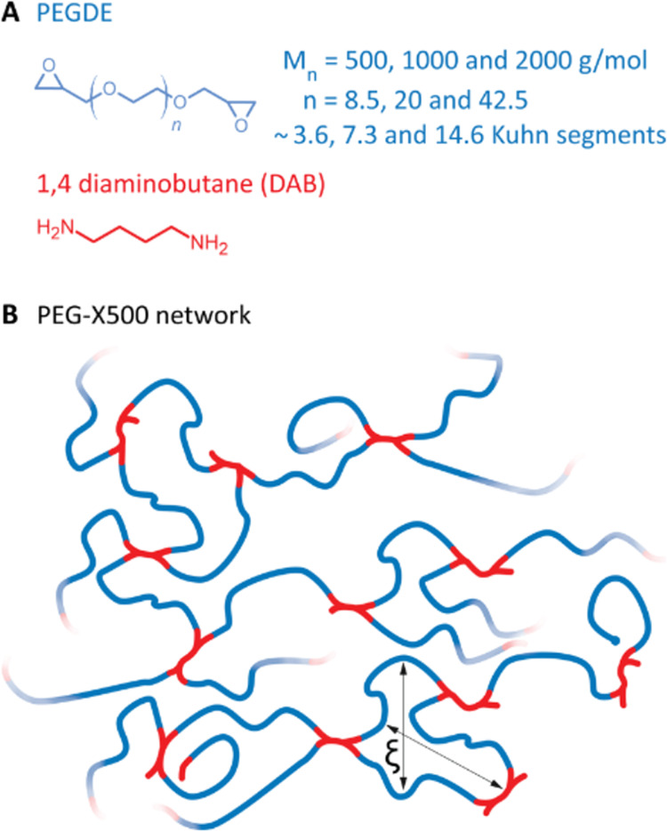 Multiscale Elasticity of Epoxy Networks by Rheology and Brillouin Light Spectroscopy.