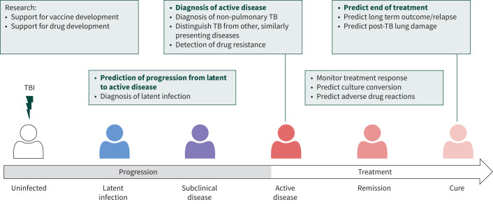 Advances in tuberculosis biomarkers: unravelling risk factors, active disease and treatment success.