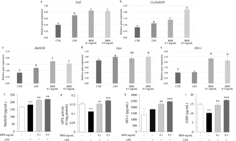 Protein hydrolysates from <i>Hermetia illucens</i> trigger cellular responses to cope with LPS-induced inflammation and oxidative stress in L-929 cells.